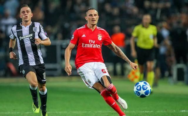 但凭借组织 但凭借组织